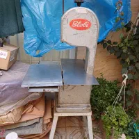 اره استخوان بر،ماهی