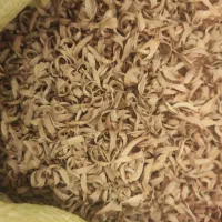 گل بهارنارنج