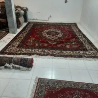 فرش طبیعی|فرش|ارومیه, |دیوار