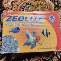 اکواریوم|ماهی|قزوین, |دیوار