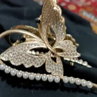 لباس زنانه|لباس|ساری, |دیوار