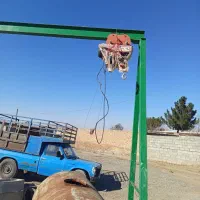 جرثقیل درد نو