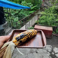 تور با ماشین شخصی