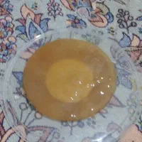قارچ کامبوجا