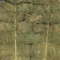 یونجه خشک انباری|لوازم جانبی حیوانات|زنجان, |دیوار