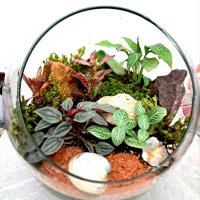 باغ شیشه ای گلشن