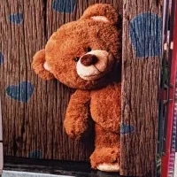 چونکه لایق بهترین های ( بهترینها را تقدیم میکنیم)|فرش|قروه, |دیوار