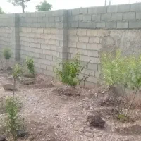 200-مترباغچه-امیریه