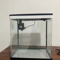 اکواریوم دلسا و متعلقات