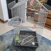 قفس بزرگ نو ۵۰۰ تومن با وسایل