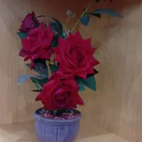 دکوری|گل مصنوعی|یزد, |دیوار