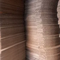 نیروی ماهر و ساده  در کارتن سازی و جعبه سازی