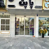 پت شاپ پاپت