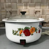 آرام پز درحد نو