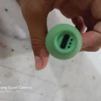 پاد|زیورآلات و اکسسوری|تربت جام, حافظ|دیوار