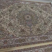 فرش 700شانه نو نو|فرش|پیرانشهر, |دیوار