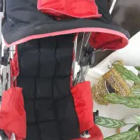 کالسکه نوزاد