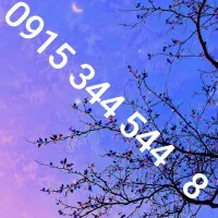 8 4 4 5 4 4 3 5 1 9 0