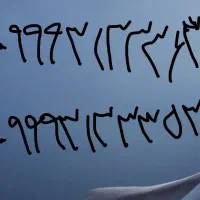 خط رند آپتل