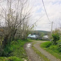 زمین مسکونی جنگلی جاده رشت تهران سراوان|فروش زمین و ملک کلنگی|رشت, گیل|دیوار