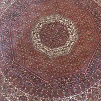 فرش طرح ماهی بیجار گلبهی|فرش|همدان, |دیوار