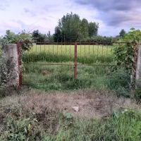 فروش2000مترشالیزار،فنس کشی شده واقع درضیابر لالم