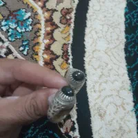 دو عدد انگشتر نقره جفت