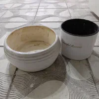 گلدان|گل و گیاه طبیعی|تهران, فدک|دیوار