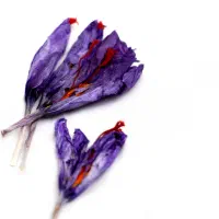 پیش فروش محصول ۱۴۰۴|خوردنی و آشامیدنی|تهران, حکیمیه|دیوار