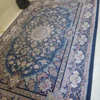 یک جفت فرش ۶متری ۱۲۰۰شانه تراکم۳۶۰۰نگین مشهد هلال