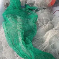 فروشی جل تخته جل بندوونج جل ماهی میگو حلو|ماهیگیری|بندرعباس, |دیوار