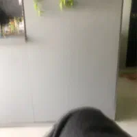 نیرو جهت کار در مواد غذایی