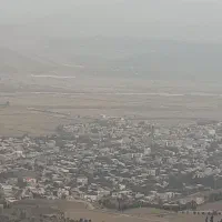 استخدام نیروی کار مرغداری