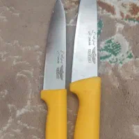 چاقوی آشپزخانه