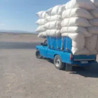 کاه دیم فورشی