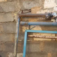 دوعدد دار قالی