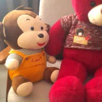 دوعدد عروسک سالم|اسباب‌‌بازی|بوئین زهرا, |دیوار