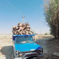 چوب خریده انواعه تخته تیر و درخت باغات و غیره|خدمات باغبانی و درختکاری|کمیجان, |دیوار