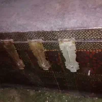 فروش صندق قدیمی سایز بزرگ