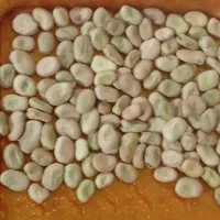 پاخلاخشک|عمده‌فروشی|مهربان, |دیوار