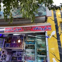 تعمیرات اسباب بازی|اسباب‌بازی بچه|آفتاب, |دیوار