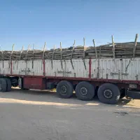 خریدانواع چوب