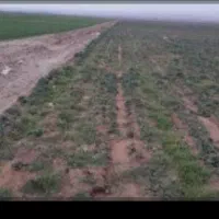 فروش-فوری-زمین-مناسب-باغچه-در-حسین-آباد-قاجار