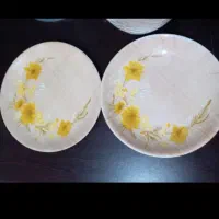 ظروف ملامین