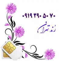 0913.776.55.33|سیم‌کارت|اصفهان, نقش جهان|دیوار
