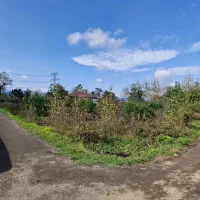 فروشنده زمین مسکونی