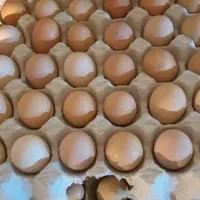 تخم‌ مرغ محلی خوب  دانه‌ای ۲۵
