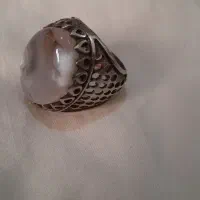 انگوشتر شجر ابری