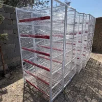 استند/چیپس/تنقلات/ذغال/تخفیف دار