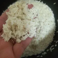 برنج ایرانی|خوردنی و آشامیدنی|تهران, گلچین|دیوار